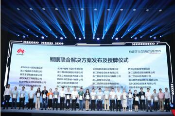 攜手華為  生態(tài)共建|遠(yuǎn)望信息受邀出席華為峰會(huì)并獲授牌