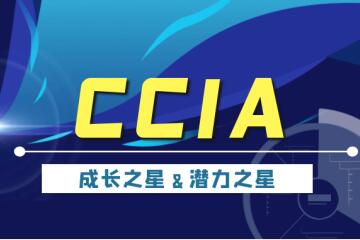 實(shí)力認(rèn)可|遠(yuǎn)望信息入選“2020年中國(guó)網(wǎng)絡(luò)安全成長(zhǎng)之星”